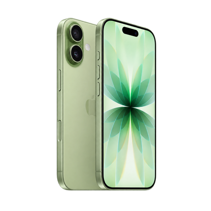 Apple iPhone 17 — Sage